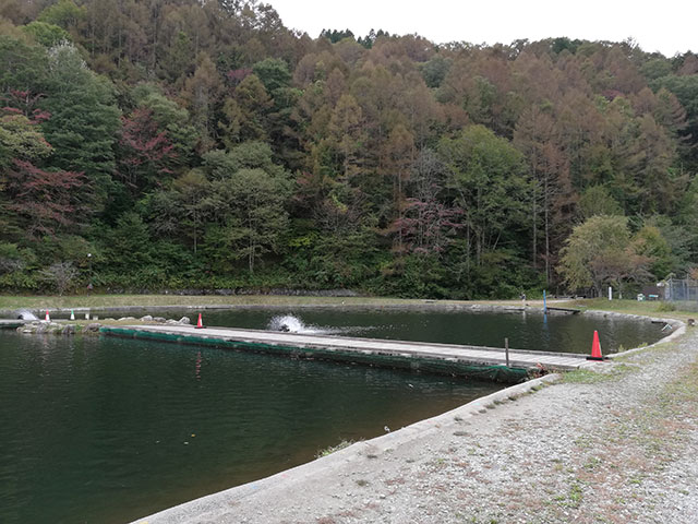 平谷湖フィッシングスポット エキスパートエリア( 川側 )